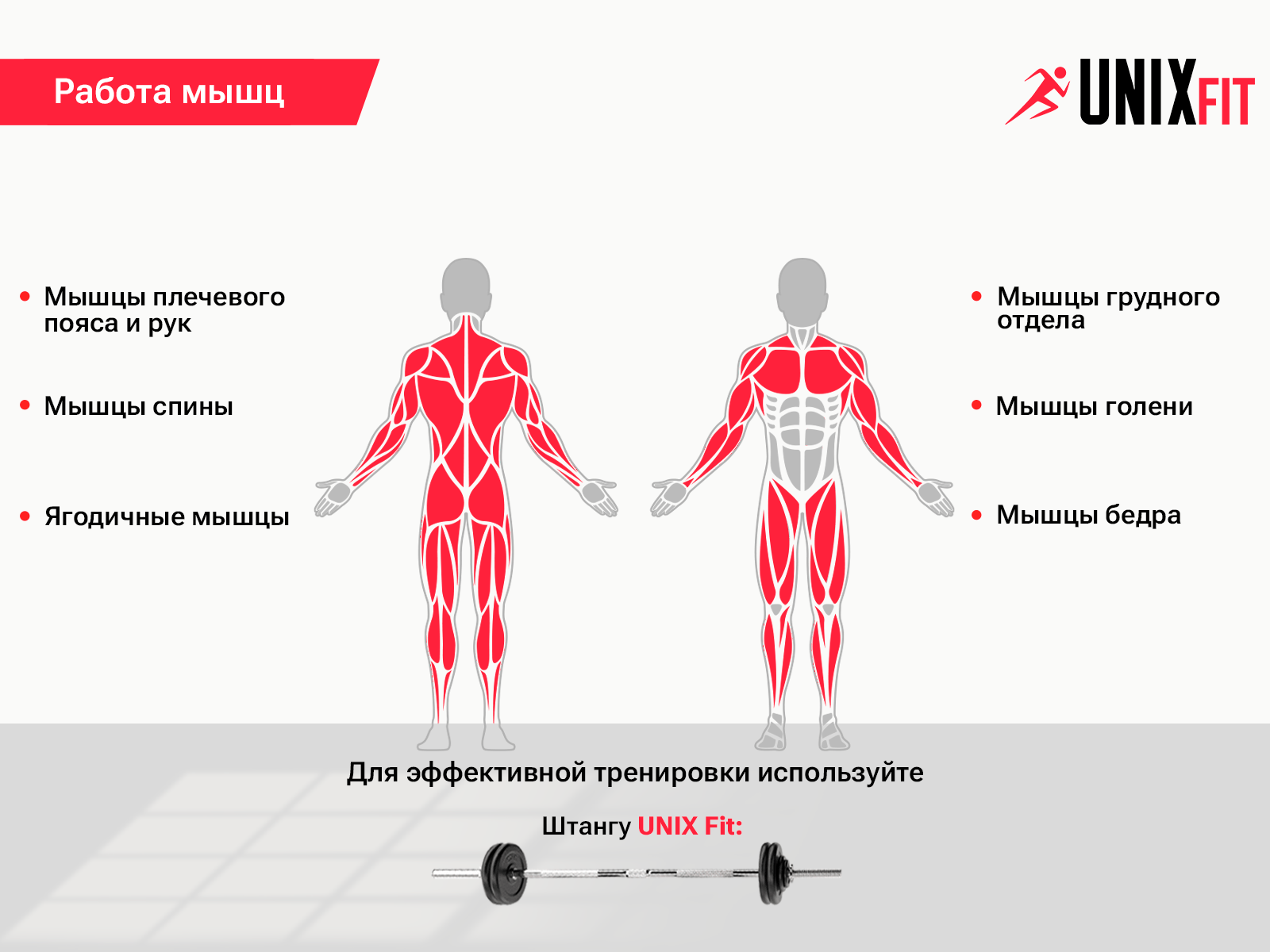 Стойка под штангу UNIX Fit FRAME 120